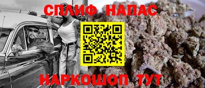индика Нальчик