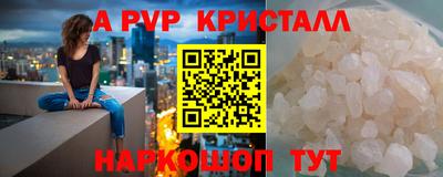 индика Нальчик