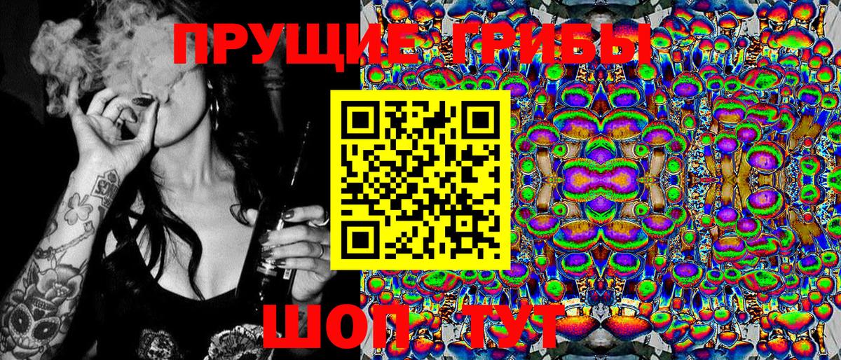 Псилоцибиновые грибы мицелий Стрежевой