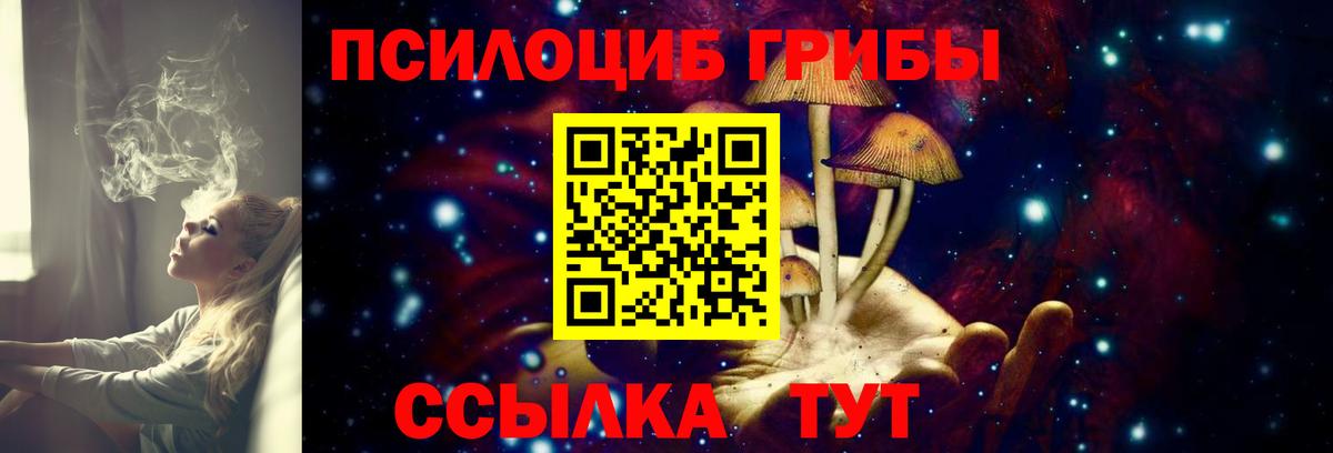 Псилоцибиновые грибы MAGIC MUSHROOMS  Вход с VPN  Стрежевой 